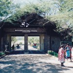 Massai Mara National Reserve