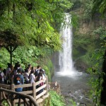 La Paz water Falls at the Rain Forest San Jose, Costa Rica
